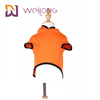 Sonbahar Nakış Yüz Cadılar Bayramı Balkabağı Köpek Hoodie Kedi Köpek Giysileri